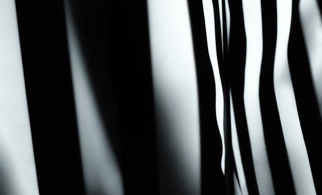 Photo by Tim Mossholder: https://www.pexels.com/photo/uneven-black-and-white-stripes-12778841/
