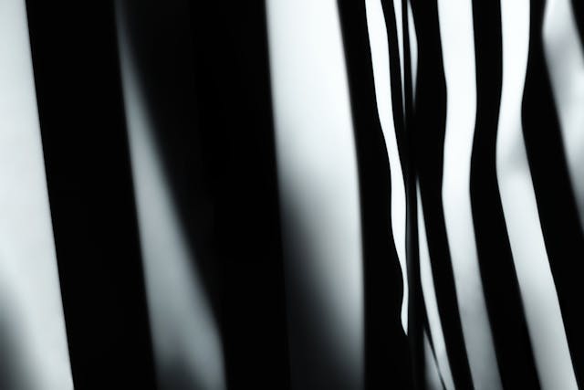Photo by Tim Mossholder: https://www.pexels.com/photo/uneven-black-and-white-stripes-12778841/